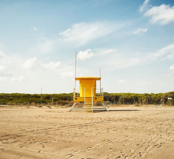 shoreline-protection